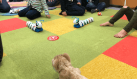 プログラミングしたロボットを動かしてみる